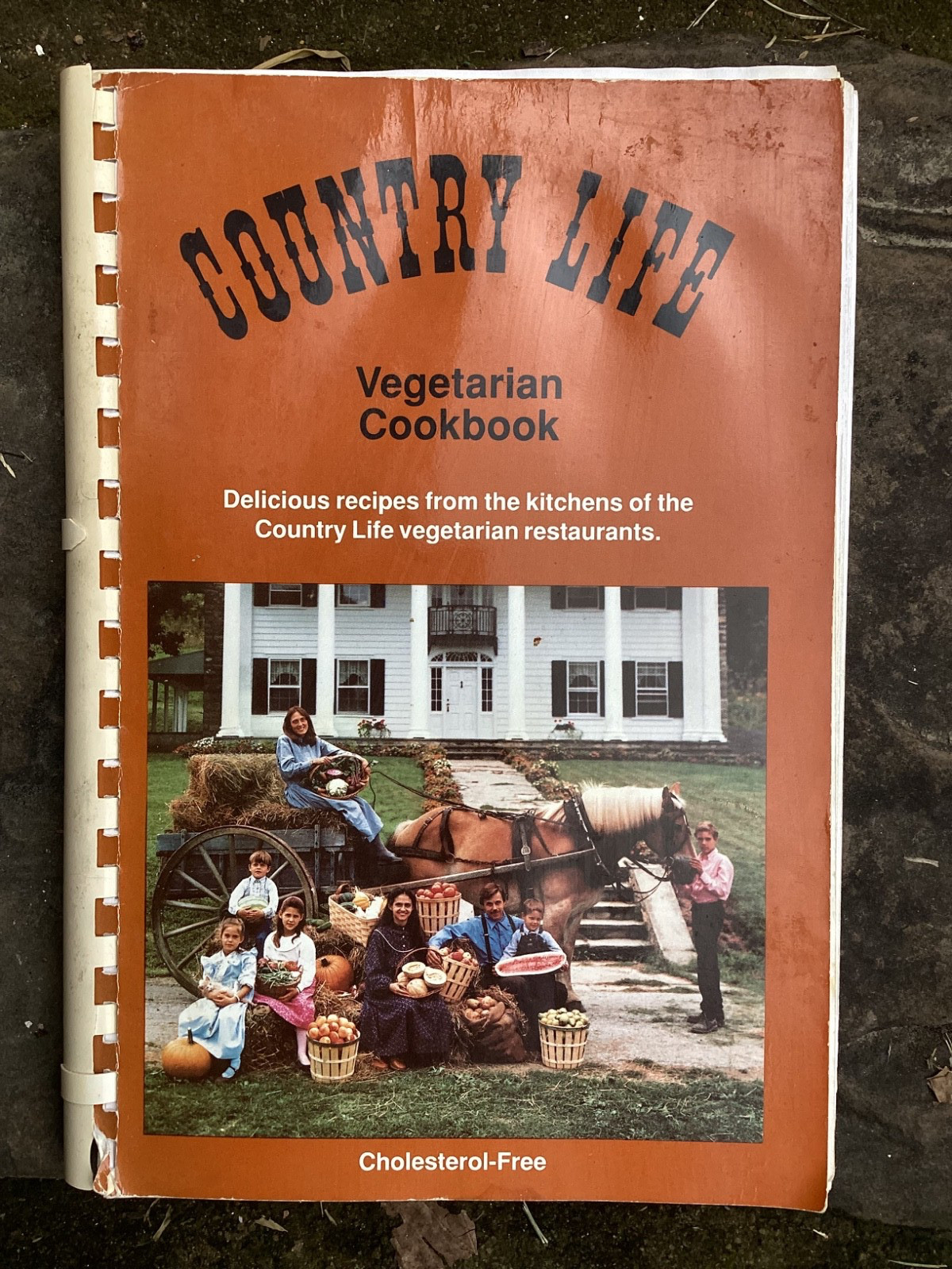 Vintage Original 1990 Country Life Vegetarian Restaurants Cookbook 188 pages