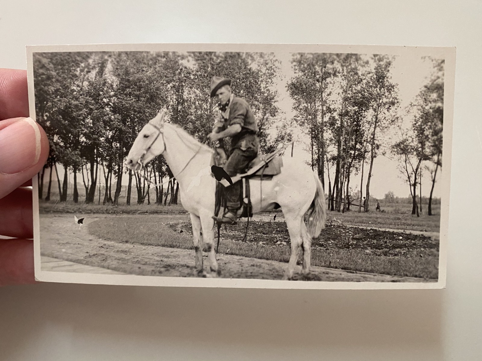 1920s Terry Montana RPPC Postcard Western Cowboy Riding White Horse Bandana Gag