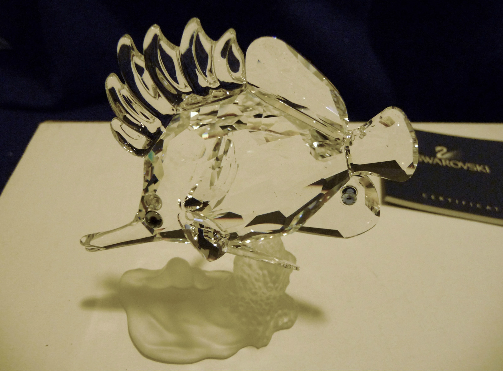 SWAROVSKI LONGNOSE BUTTERFLY FISH 666567 BEST OFFERS CONSIDERED SWAROVSKI LONGNOSE BUTTERFLY FISH 666567 BEST OFFERS CONSIDERED