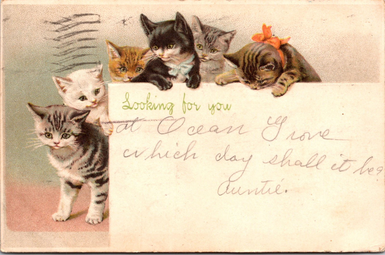 Adorable Kittens Looking For You Embossed DB Postcard Y25