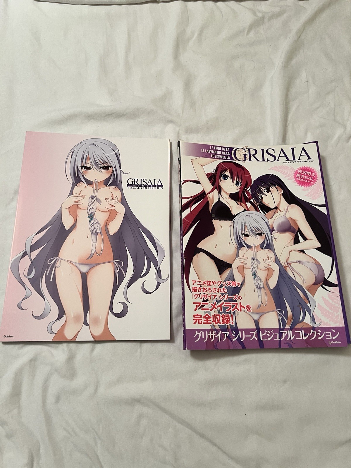 Fruit Of Grisaia Visual Collection Book