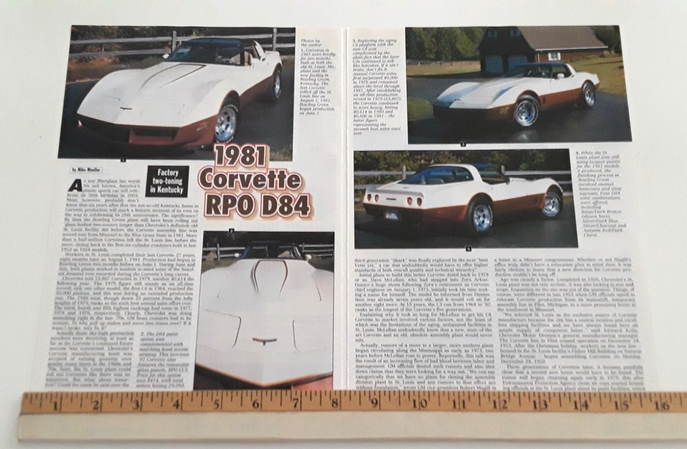 1981 CORVETTE   ORIGINAL 2000 ARTICLE
