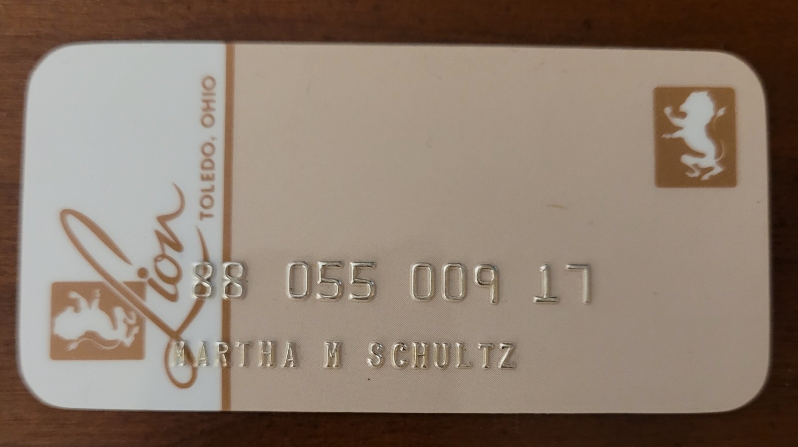 Vintage The Lion Department Store Credit Charge Card