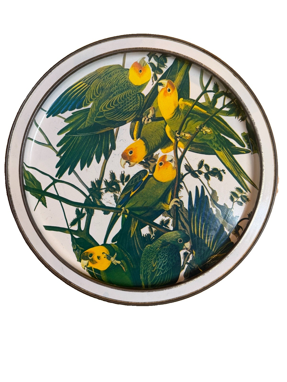 VTG Sunshine Biscuits Birds of America Tin Serving Tray Lid Audubon Parakeet MCM