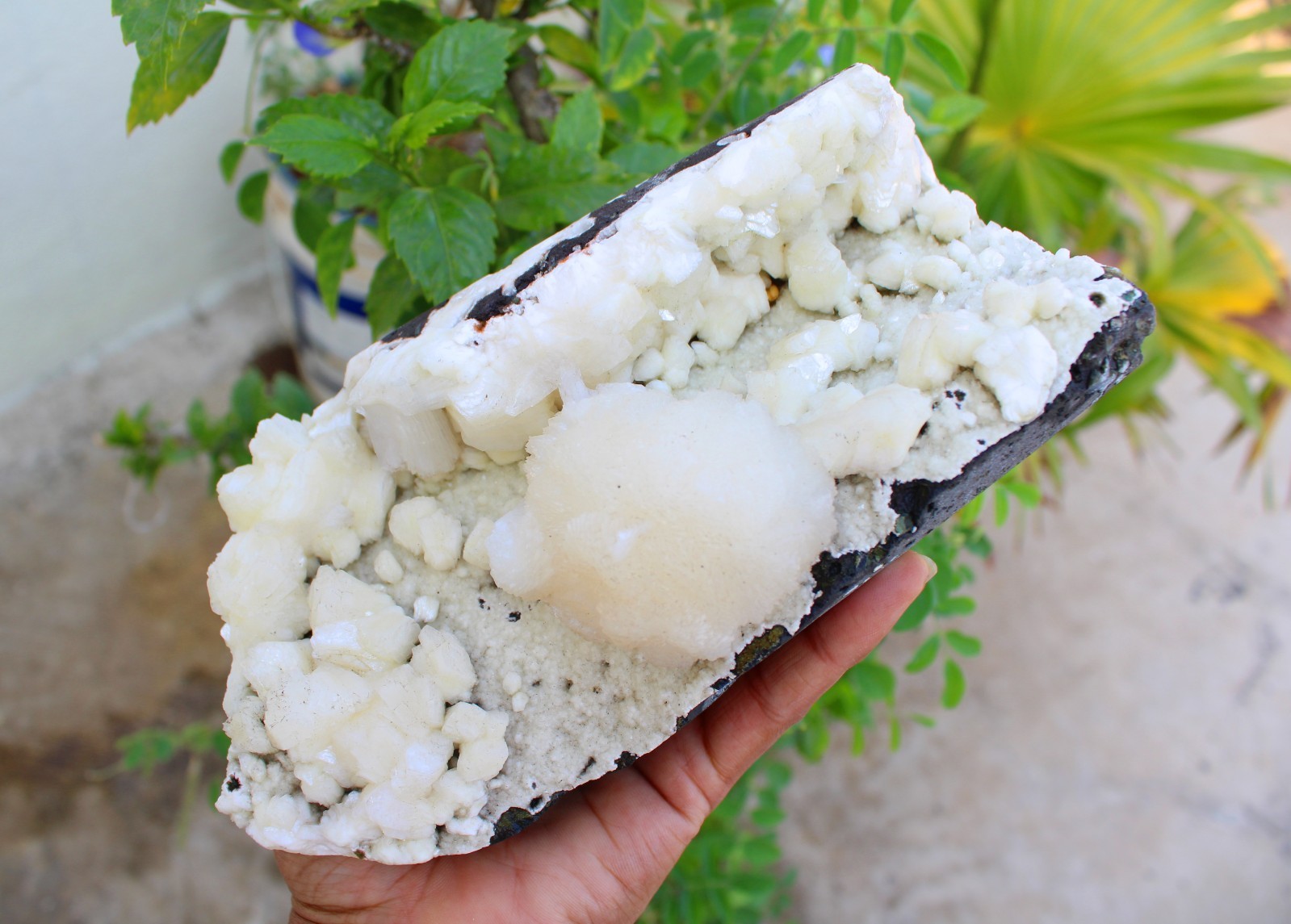 STILBITE w/ HEULANDITE GEODE MINERALS SPECIMEN #A43 STILBITE w/ HEULANDITE GEODE MINERALS SPECIMEN #A43