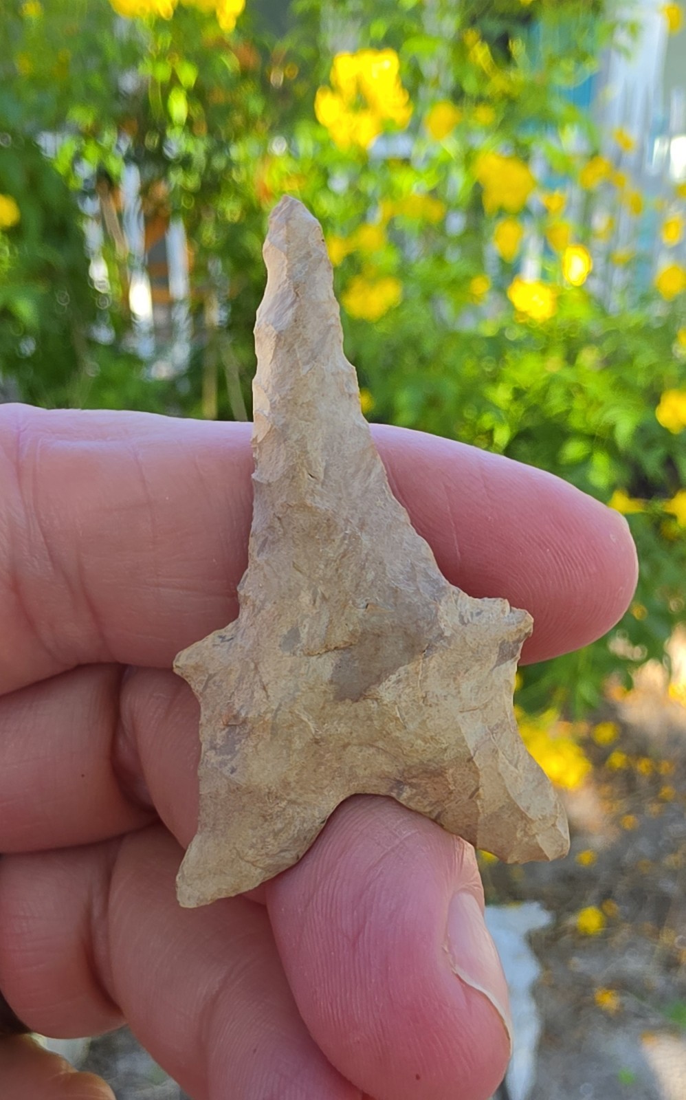Beautiful Ancient Authentic Dalton Drill Indian Arrowhead Beautiful Ancient Authentic Dalton Drill Indian Arrowhead
