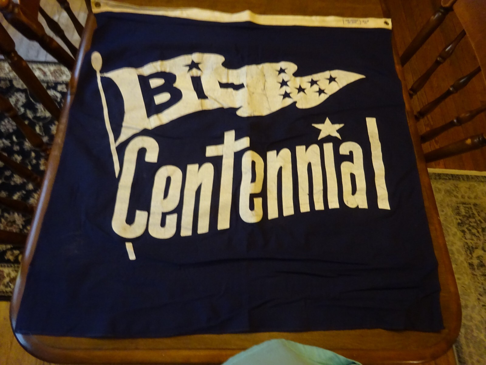 Vintage 1976 Bicentennial Flag Banner Parade #2