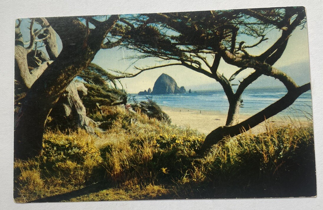 Vintage Postcard c1959 ~ Pacific Coast, Ford Dealer Ad ~ Glendale California CA