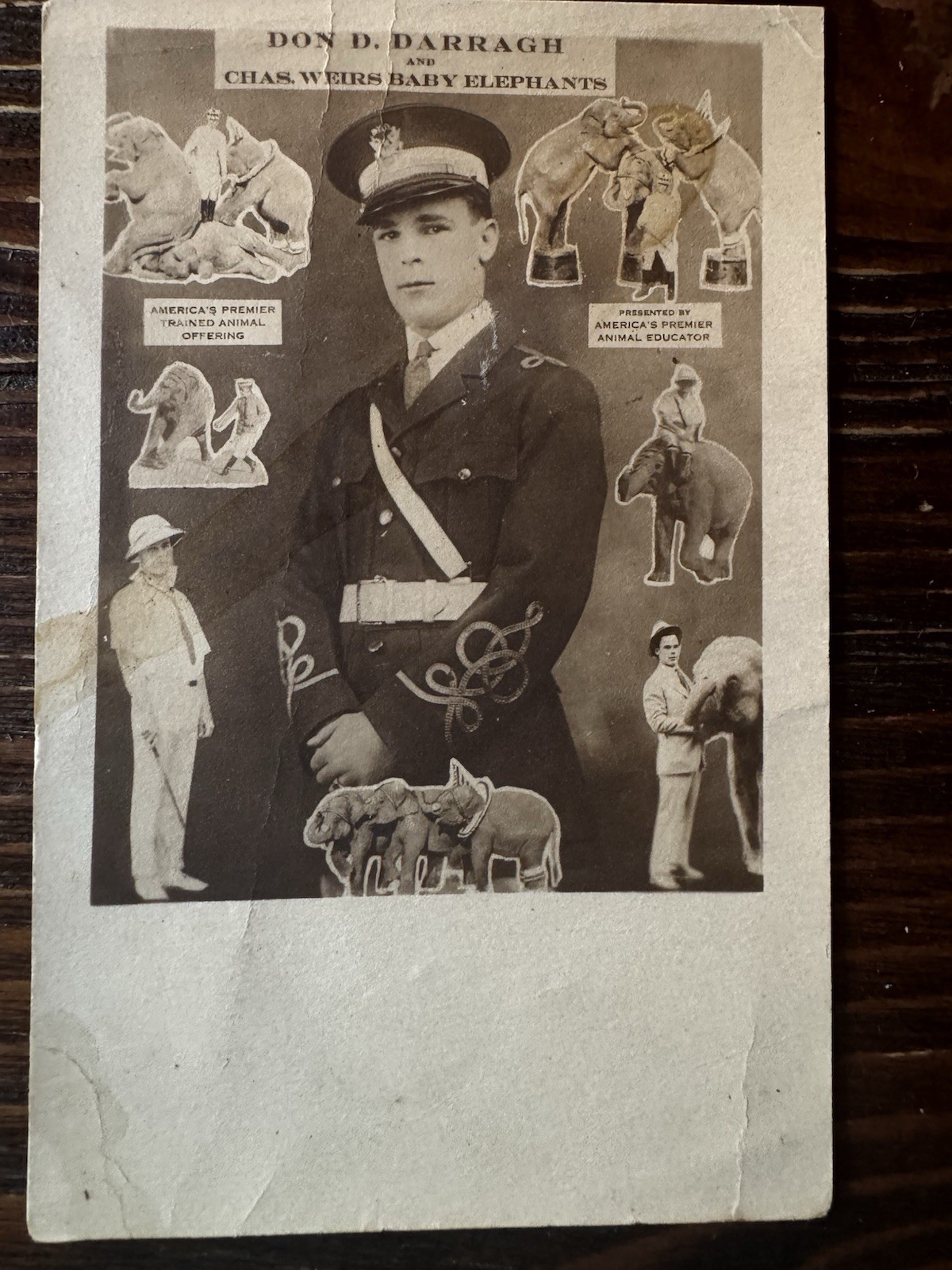 1920s Don Darragh Chas Weirs Baby Elephants Coney Island Luna Park Circus RPPC