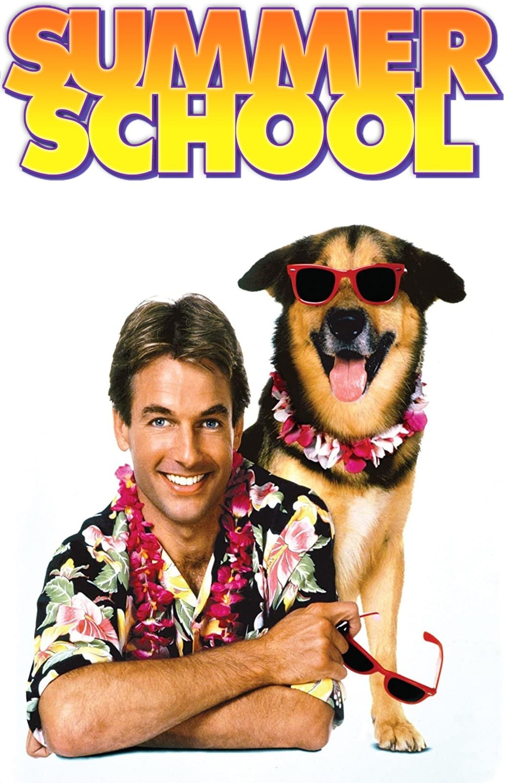 Summer School 1987 Poster Print Wall Art Movie Decor
