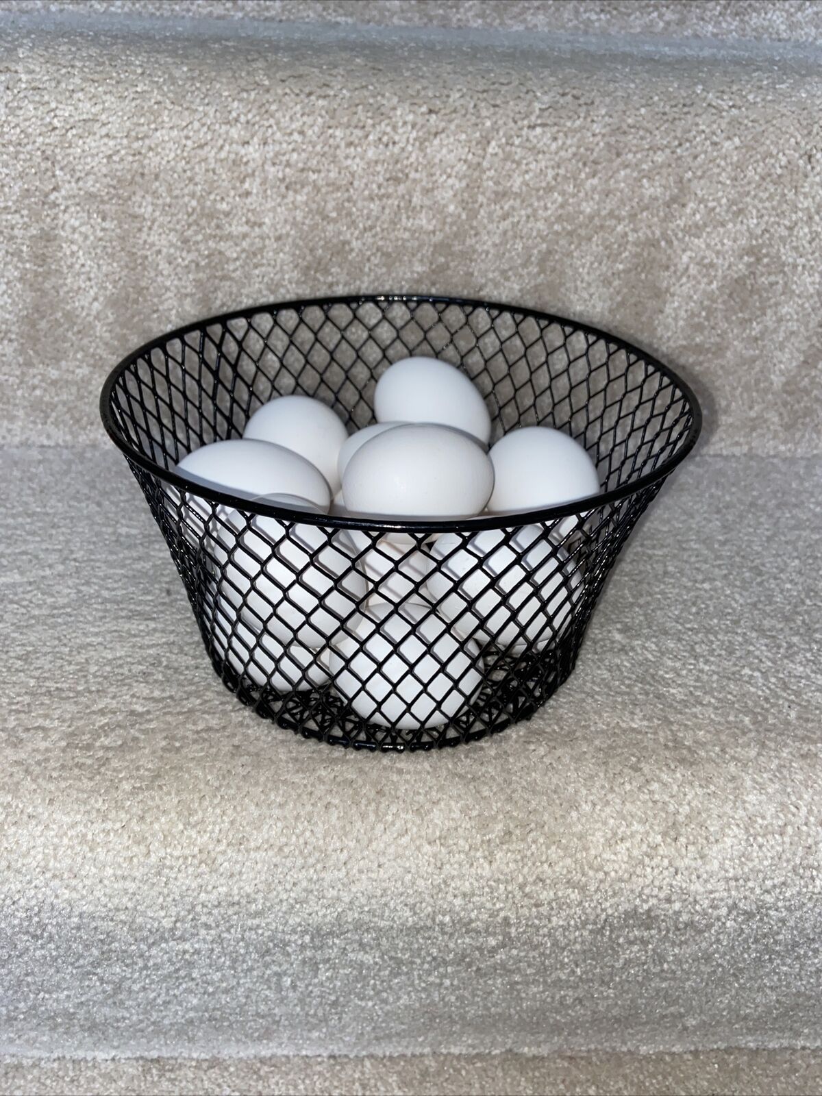 Wire Egg Gathering Basket-no Handle-Light Weight Sturdy Versatile Round-Black-N