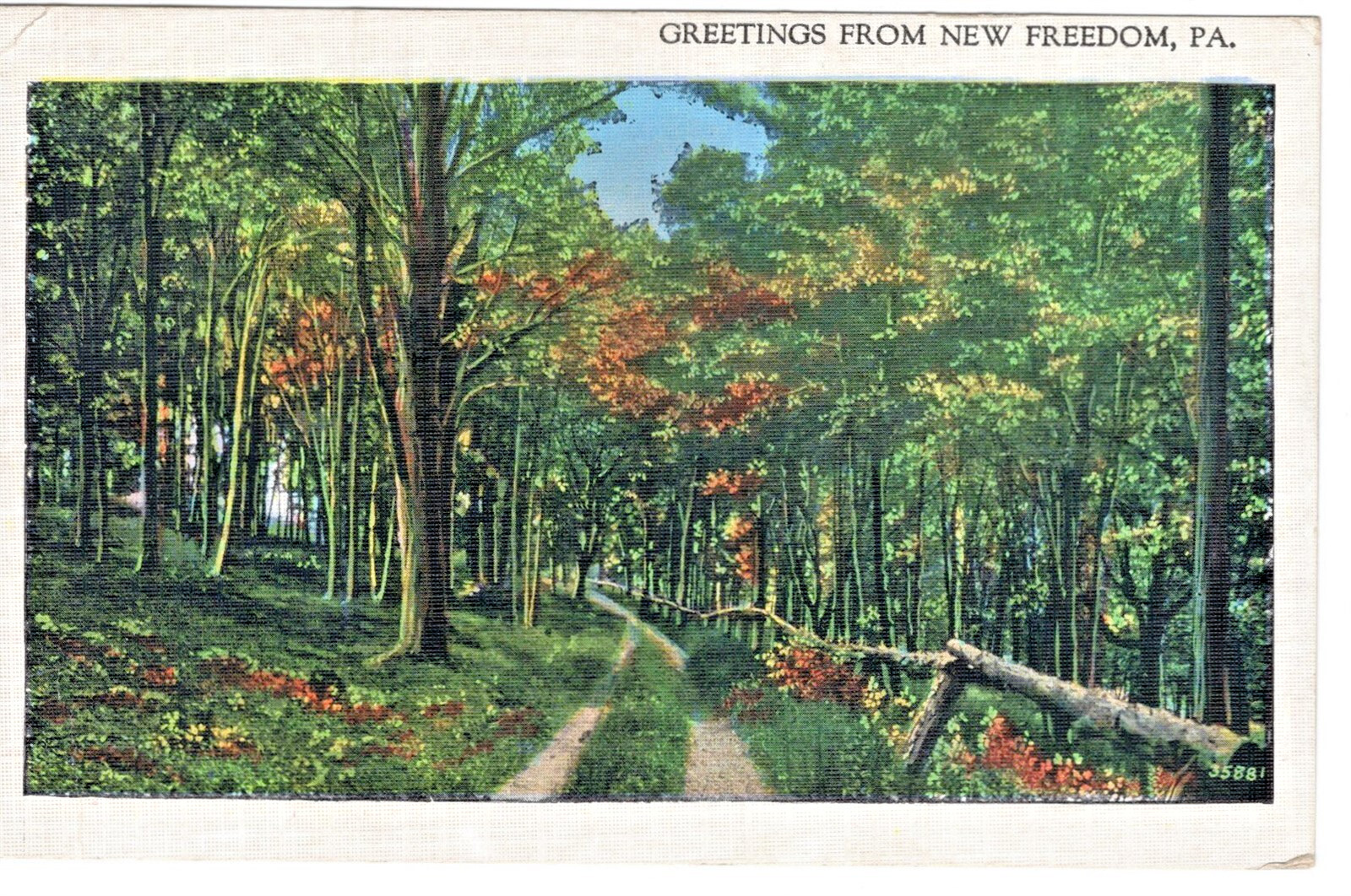1937 New Freedom, PA. Greetings From New Freedom Postcard