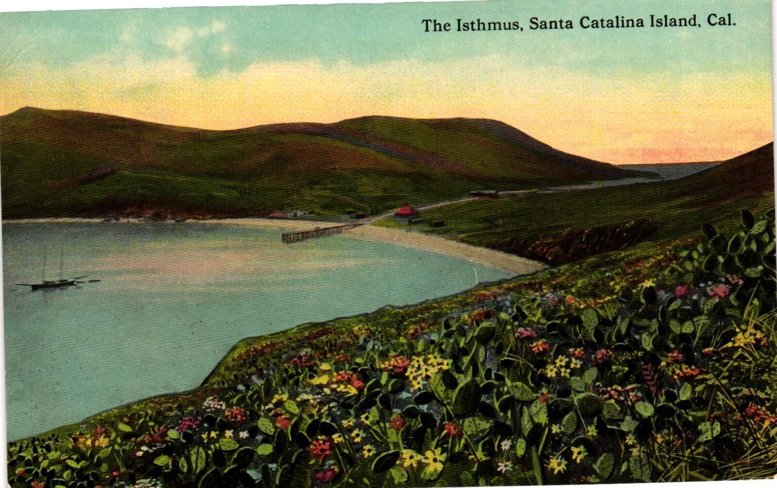VTG Postcard- 32689. ISTHMUS SANTA CATALINA CA. UnPost 1910