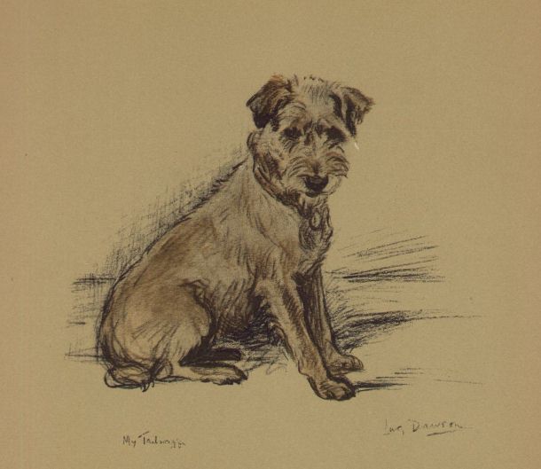 Jack Russell / Border Terrier - CUSTOM MATTED - Lucy Dawson Dog Art Print - NEW