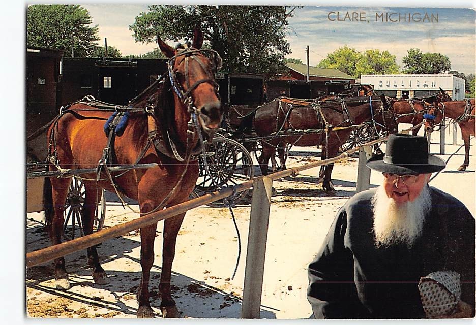 Postcard Horse & Buggy Parking Area Clare Michigan USA