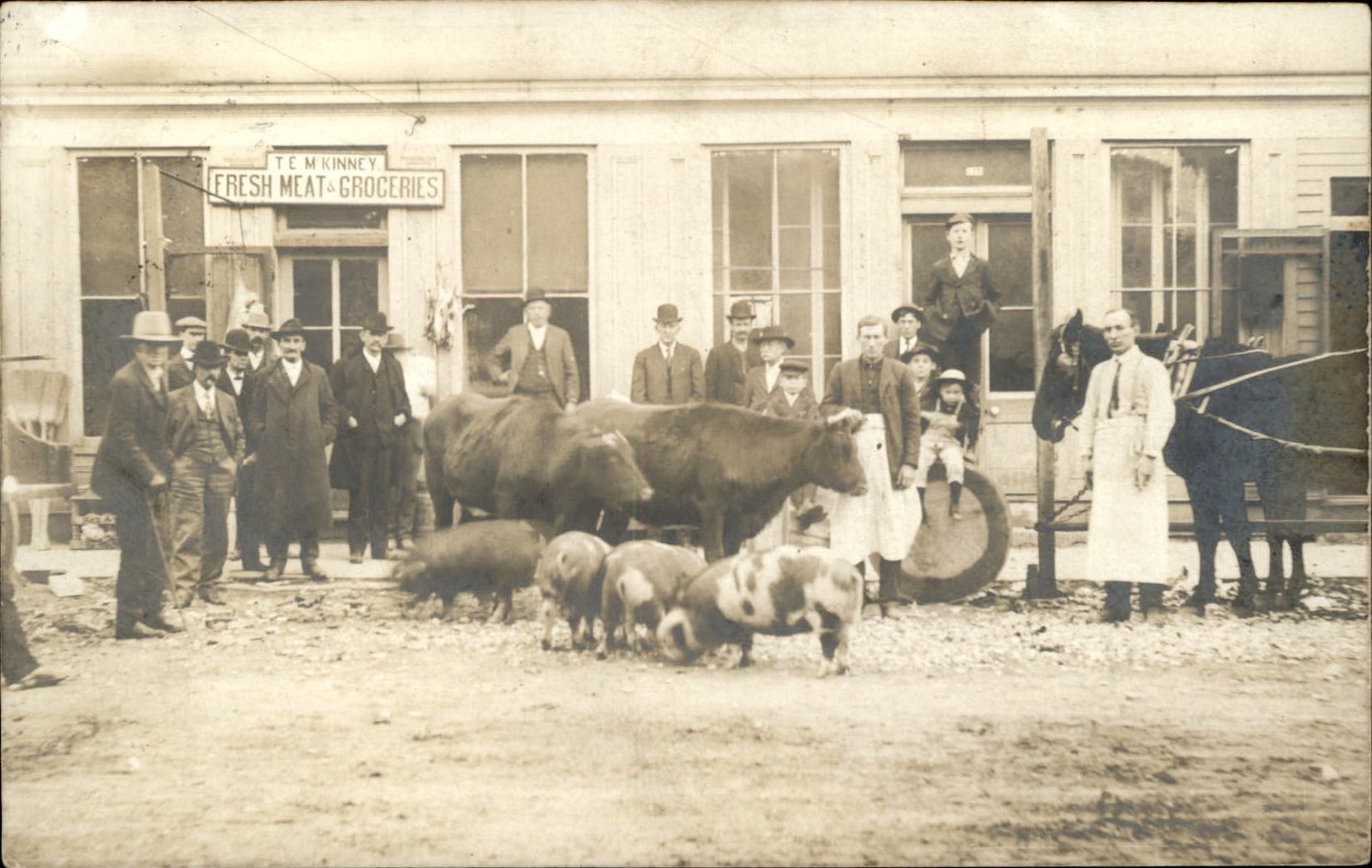 Falmouth KY General Store Livestock GREAT IMAGE c1910 Real Photo Postcard bhn