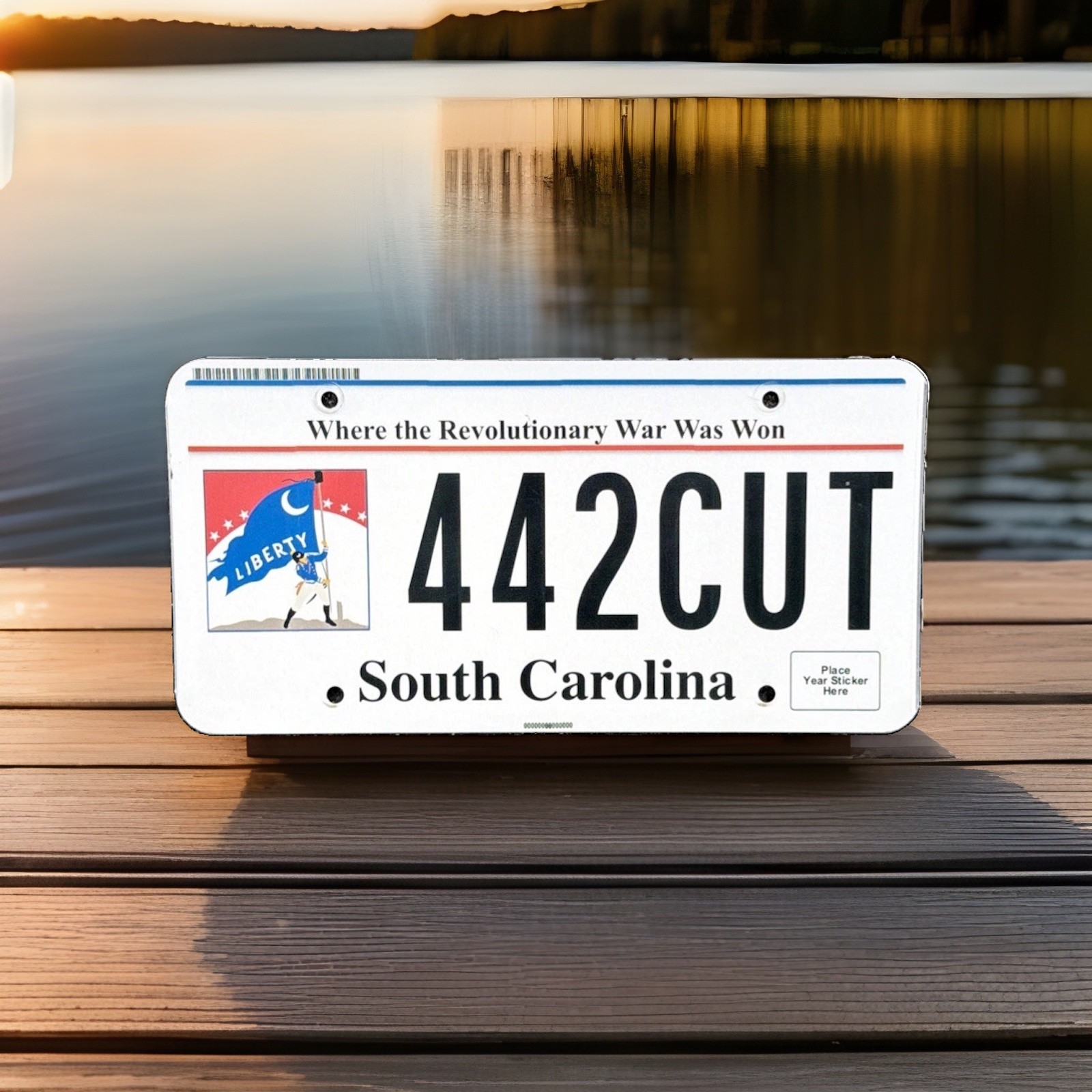 South Carolina License Plate 250 Liberty Where The Revolutionary War Was Won