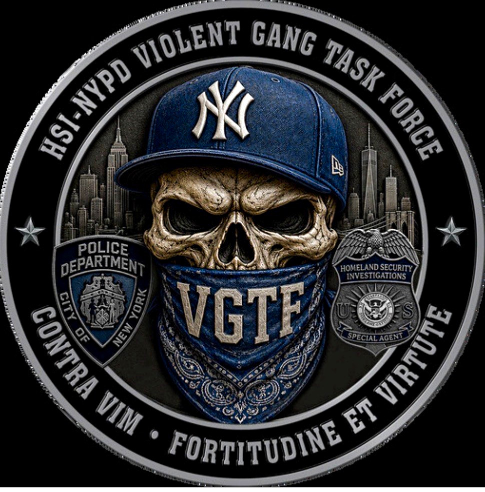 HSI NYPD Violent Gang Task Force VGTF Challenge Coin, Rare Original Militaria