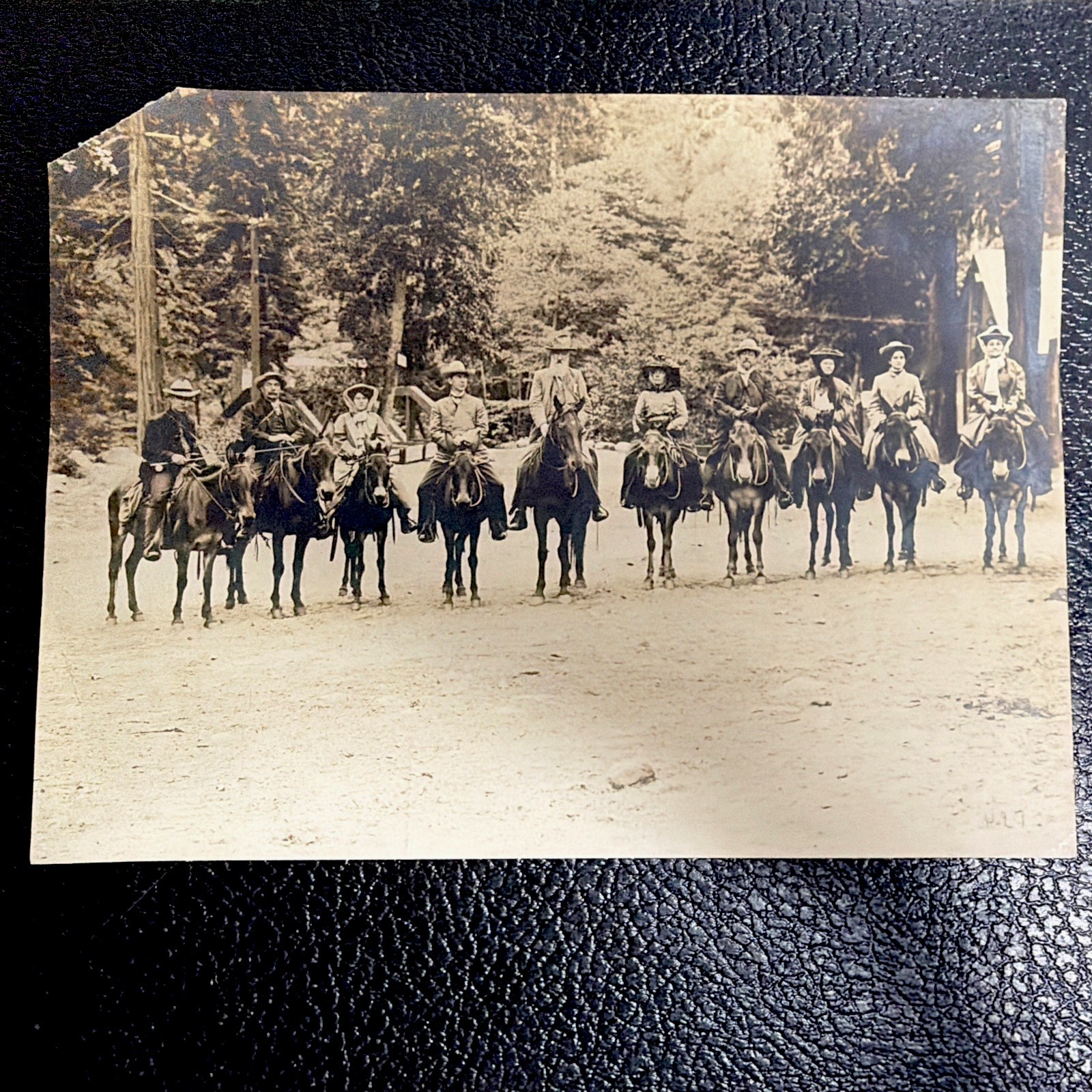 Antique Western Horseback Mule Pack Train Group Photo 8x6 Vintage Cowboy