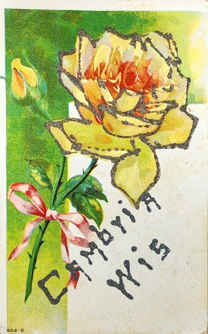 1911 Greetings Postcard ~ Greetings From Cambria, Wisconsin ~ #-6826
