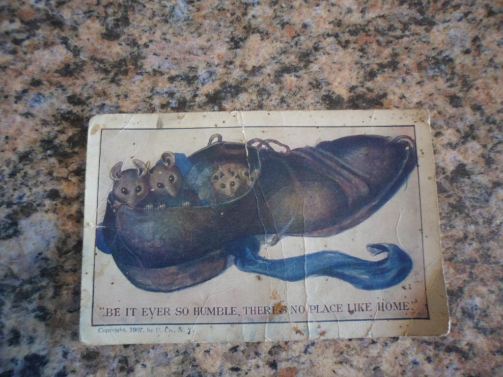 1907 unused post card