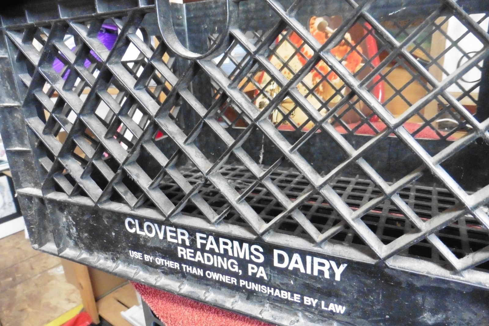 Black Clover Farms Dairies 19x13 Rectangular Milk Crate Container Reading PA