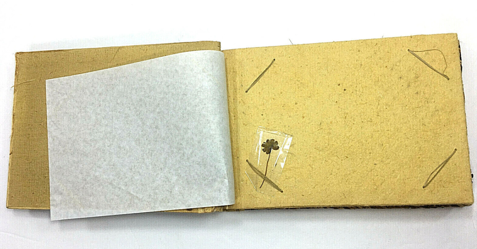 Vintage Handmade Banana Leaf Souvenir Album Hawaii Photo Scrapbook Vintage Handmade Banana Leaf Souvenir Album Hawaii Photo Scrapbook