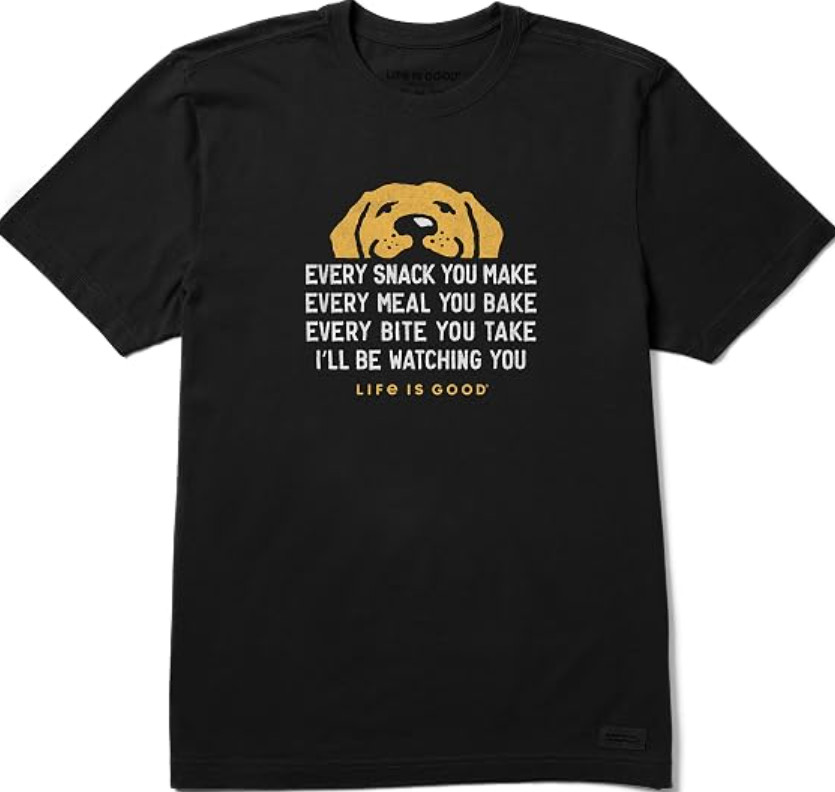 Life is Good Mens Crusher Tee I'll Be Watching You S-234XL