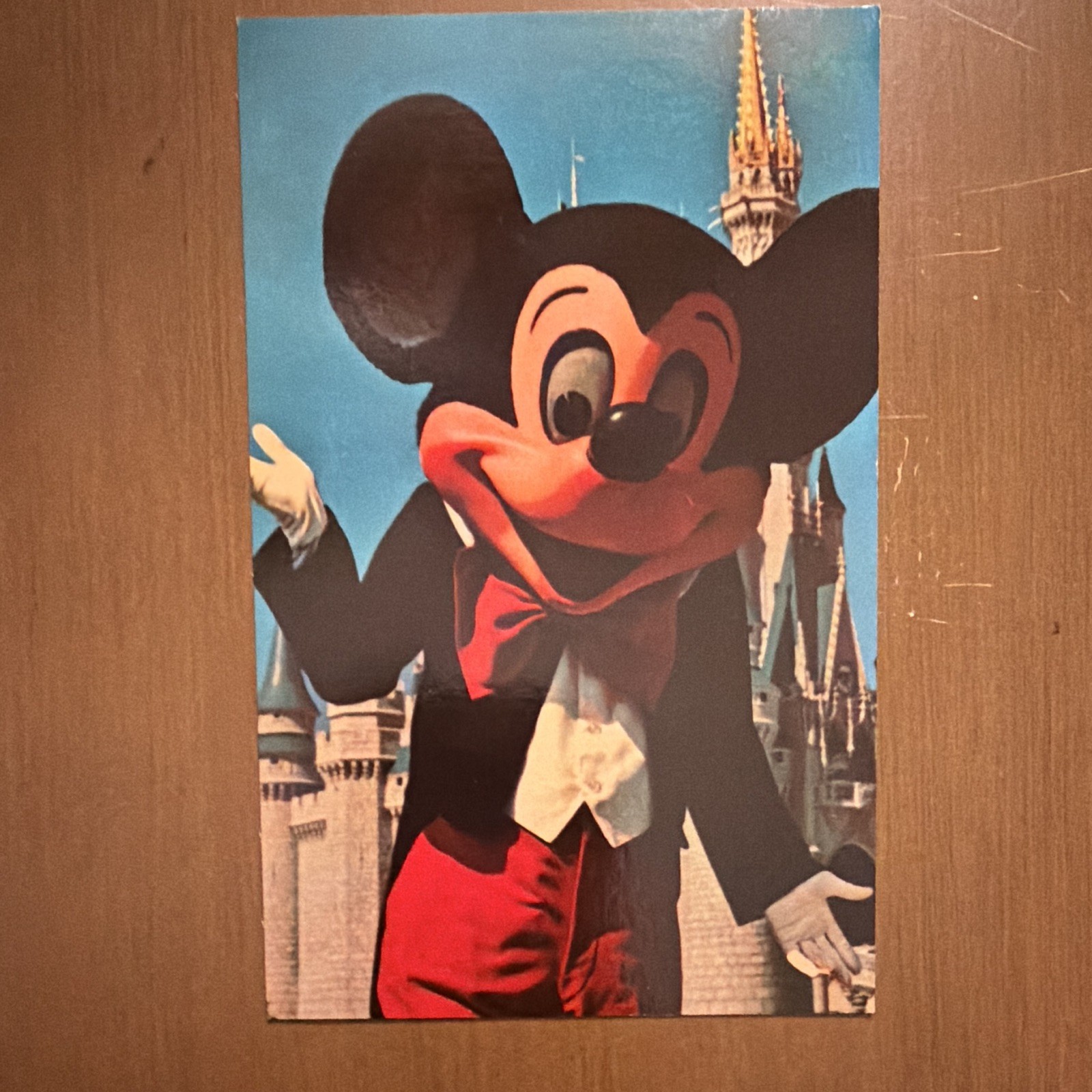 Vintage Walt Disney World Post Card