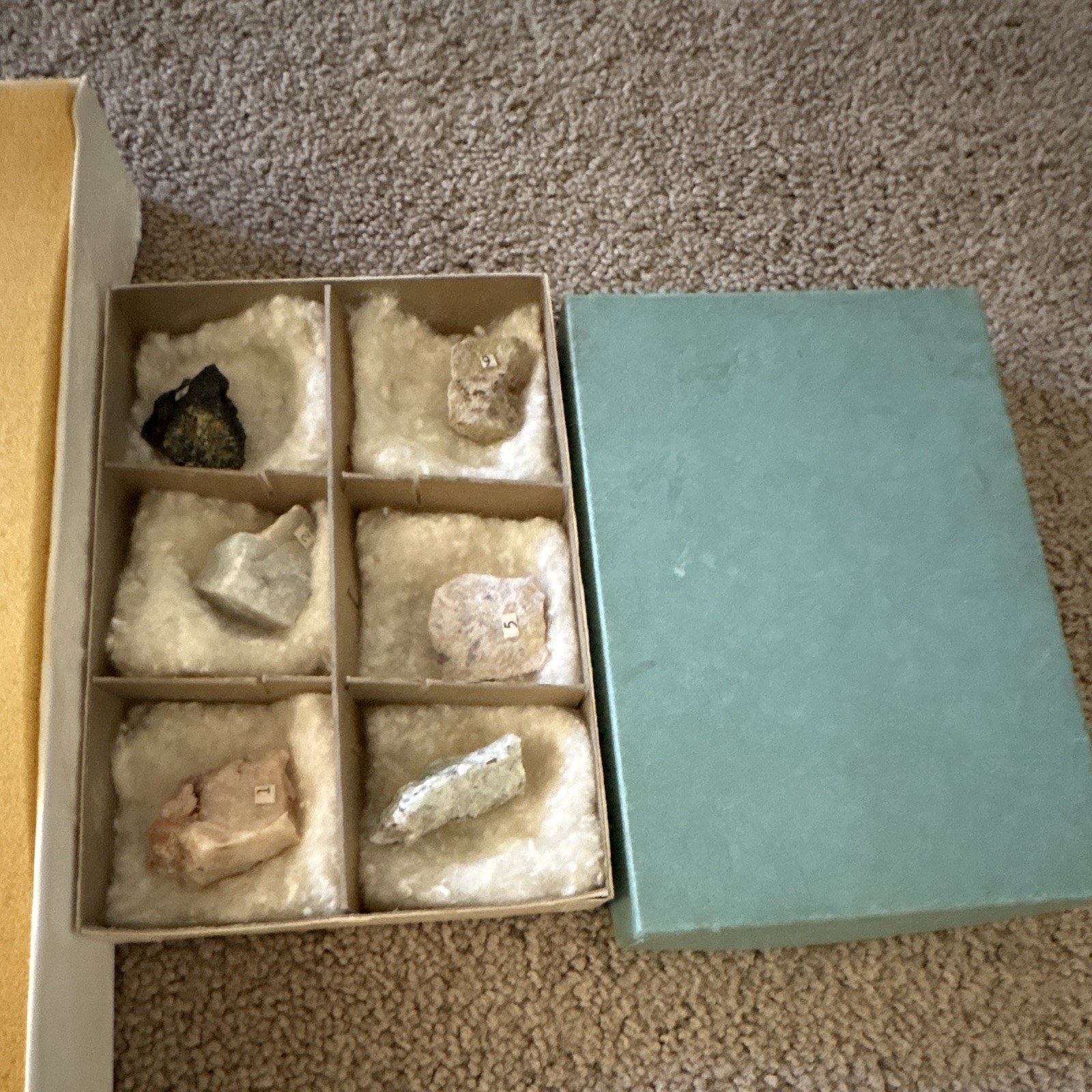vintage educational rock and mineral collection box with numbered compartments