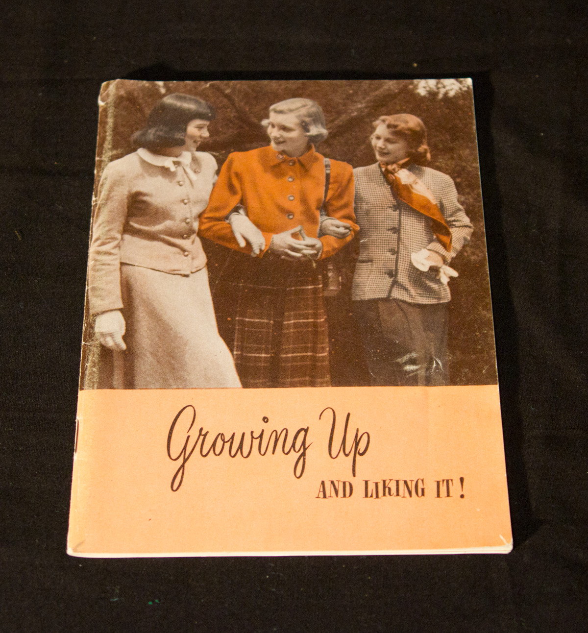 Retro 1950s Growing Up And Liking It Booklet Teen Girls Mid Century Advice Book Retro 1950s Growing Up And Liking It Booklet Teen Girls Mid Century Advice Book