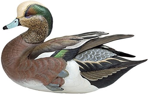 Wild Wings Weaver Bottoms - American Widgeon Large Decoy by Sam Nottleman Wild Wings Weaver Bottoms - American Widgeon Large Decoy by Sam Nottleman