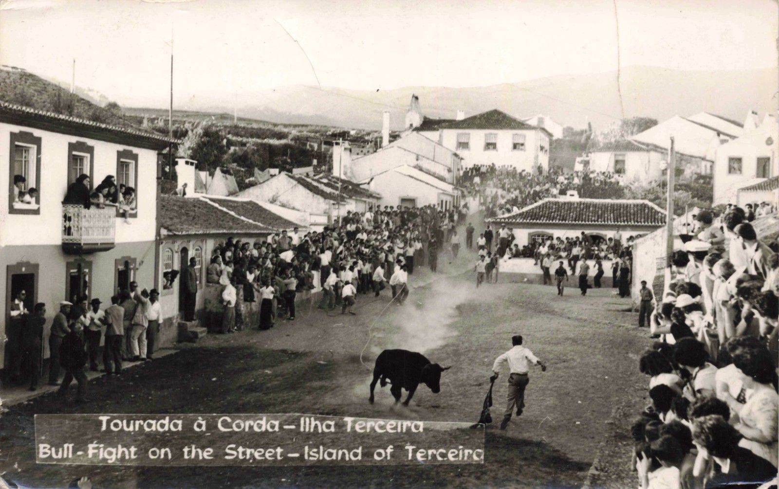 RPPC Tourada a Corda Terceira Portugal Bull Fight on Street Vintage Postcard