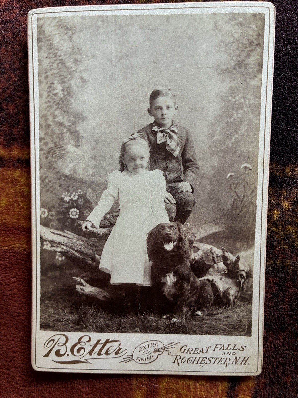 1890s Cabinet Card Photo B Etter Great Falls Rochester NH Children Spaniel Dog
