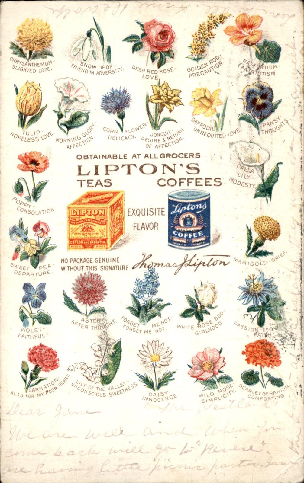 Lipton\'s Teas and Coffees Advertising c1900s-10s Vintage Postcard