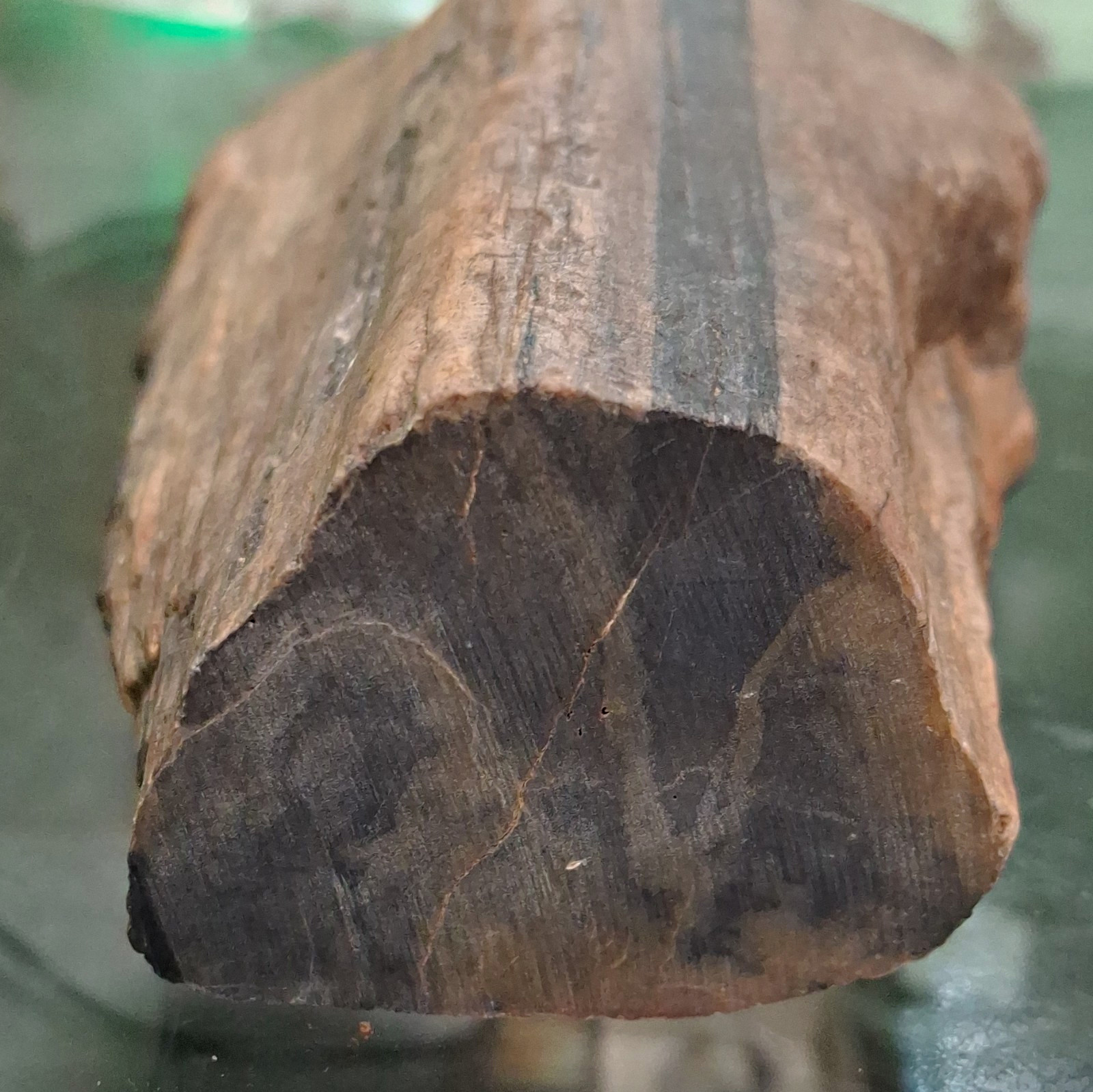 Petrified Wood Fossil Chunk Brown w/ Dark Stripe Polished End Cross-cut Petrified Wood Fossil Chunk Brown w/ Dark Stripe Polished End Cross-cut