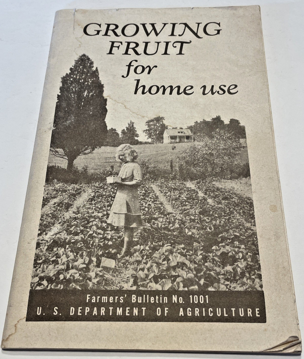 U.S. DEPARTMENT OF AGRICULTURE BROCHURE GROWING FRUIT FOR HOME USE 1948 VINTAGE U.S. DEPARTMENT OF AGRICULTURE BROCHURE GROWING FRUIT FOR HOME USE 1948 VINTAGE