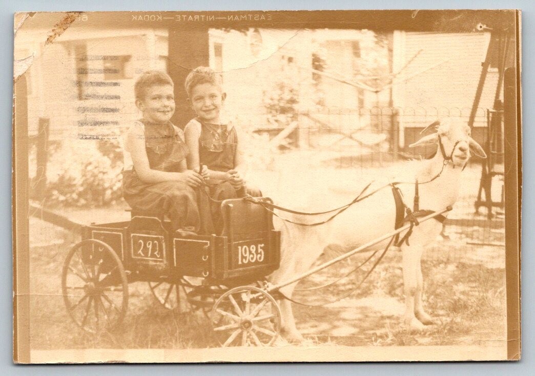 RPPC Real Photo Postcard - Kids in Cart Pulled By Goat - 1964 RPPC Real Photo Postcard - Kids in Cart Pulled By Goat - 1964