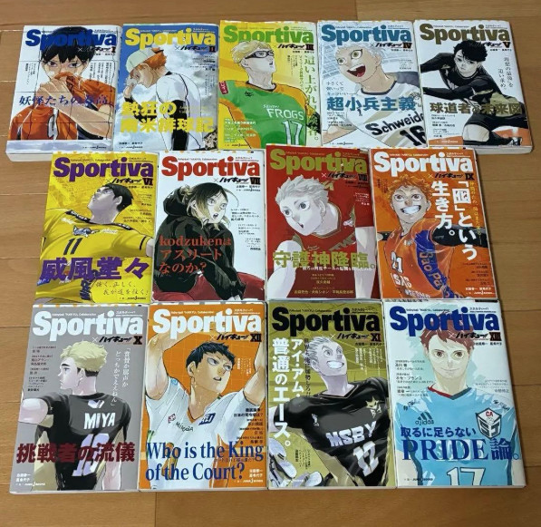 Haikyuu Novel Sportiva Version Complete Set 13 Volumes With Covers Japanese Haikyuu Novel Sportiva Version Complete Set 13 Volumes With Covers Japanese