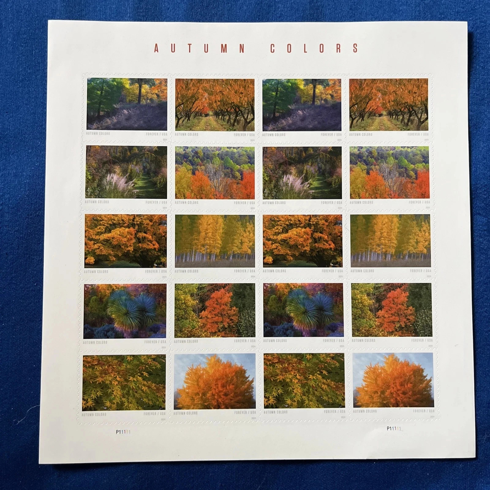 2024 USPS AUTUMN COLORS STAMPS Sc#5929-5938 MNH Sheet of 20*5 (100 PCS TOTAL)