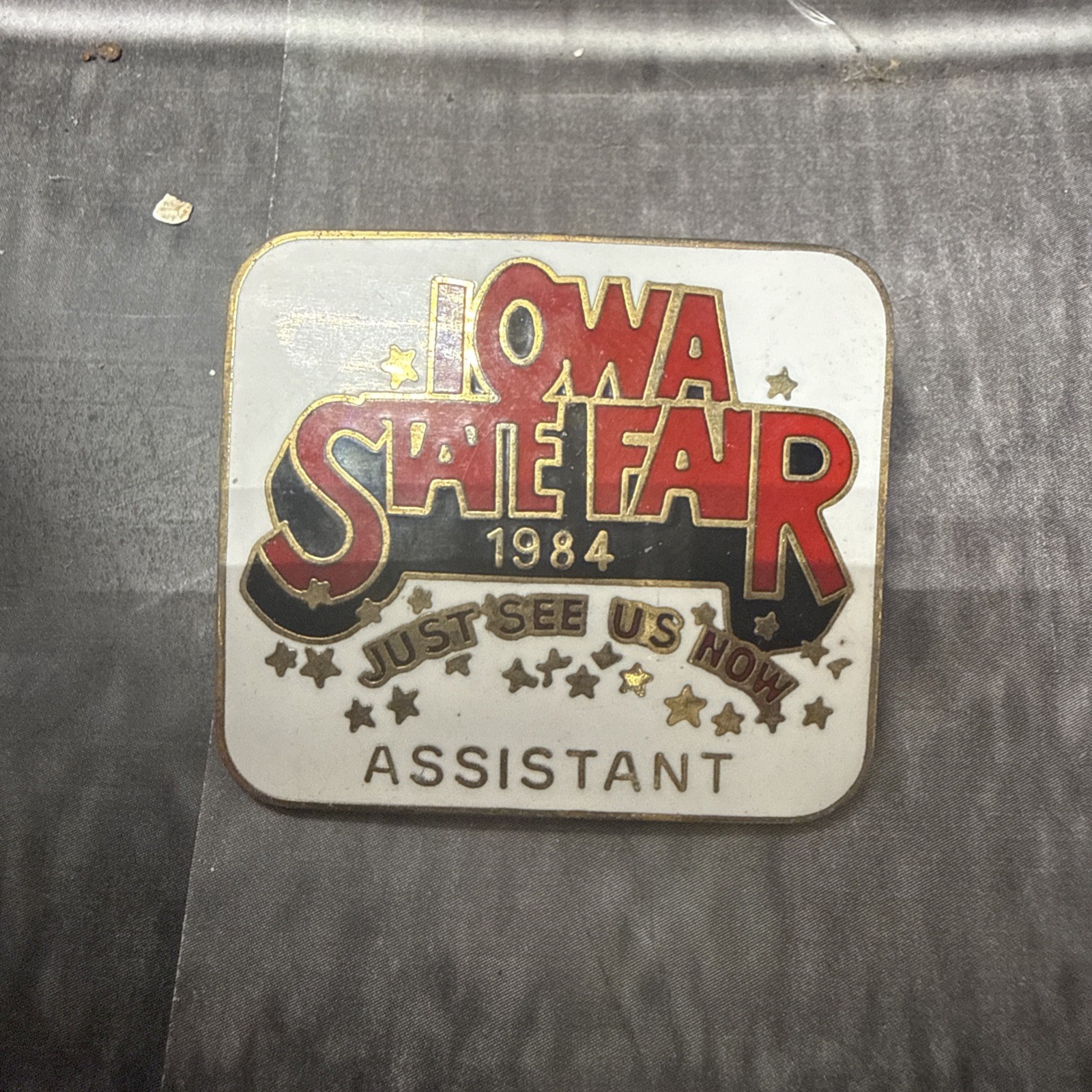 Vintage 1984 Iowa State Fair Amazingl Amusing Enamel Lapel Badge Pin Assistant Vintage 1984 Iowa State Fair Amazingl Amusing Enamel Lapel Badge Pin Assistant