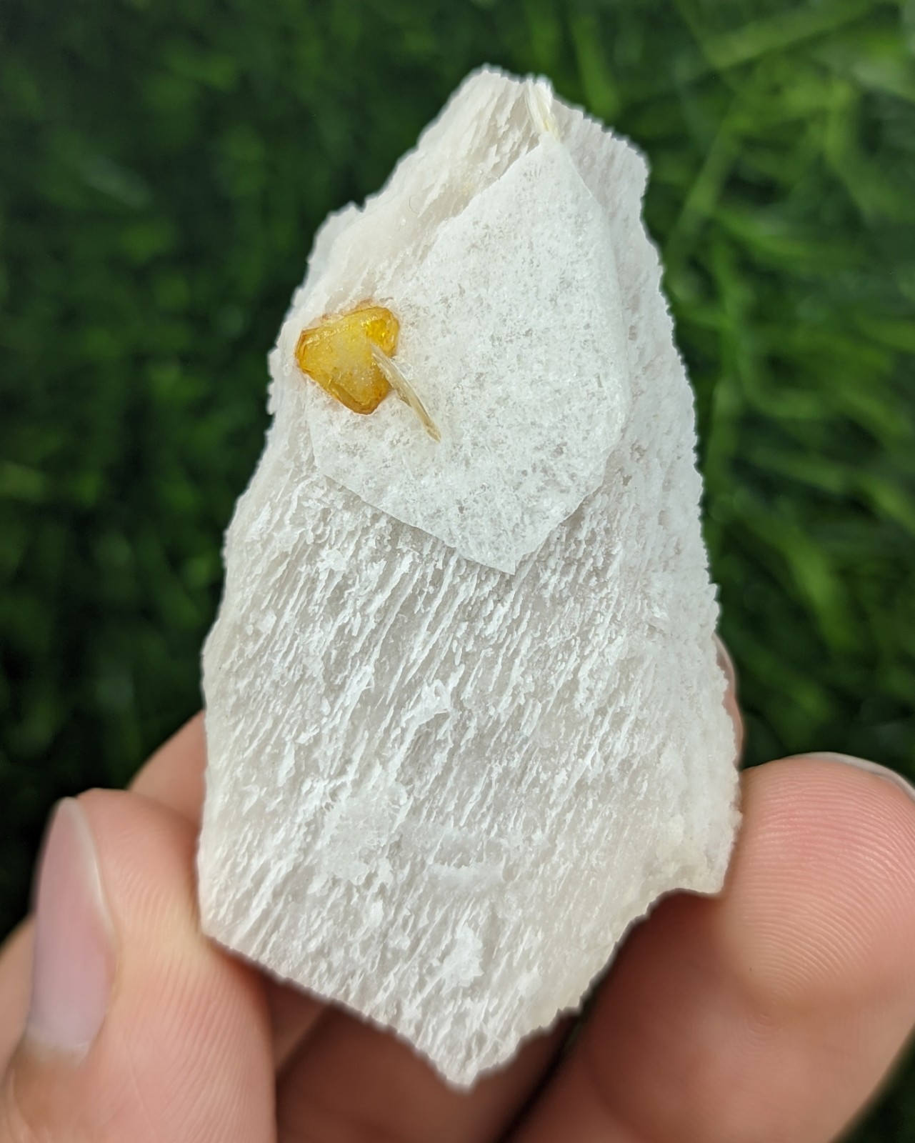 14-gm Rare Microlite Crystal with Cleavelandite Mica on Albite - Skardu Pakistan