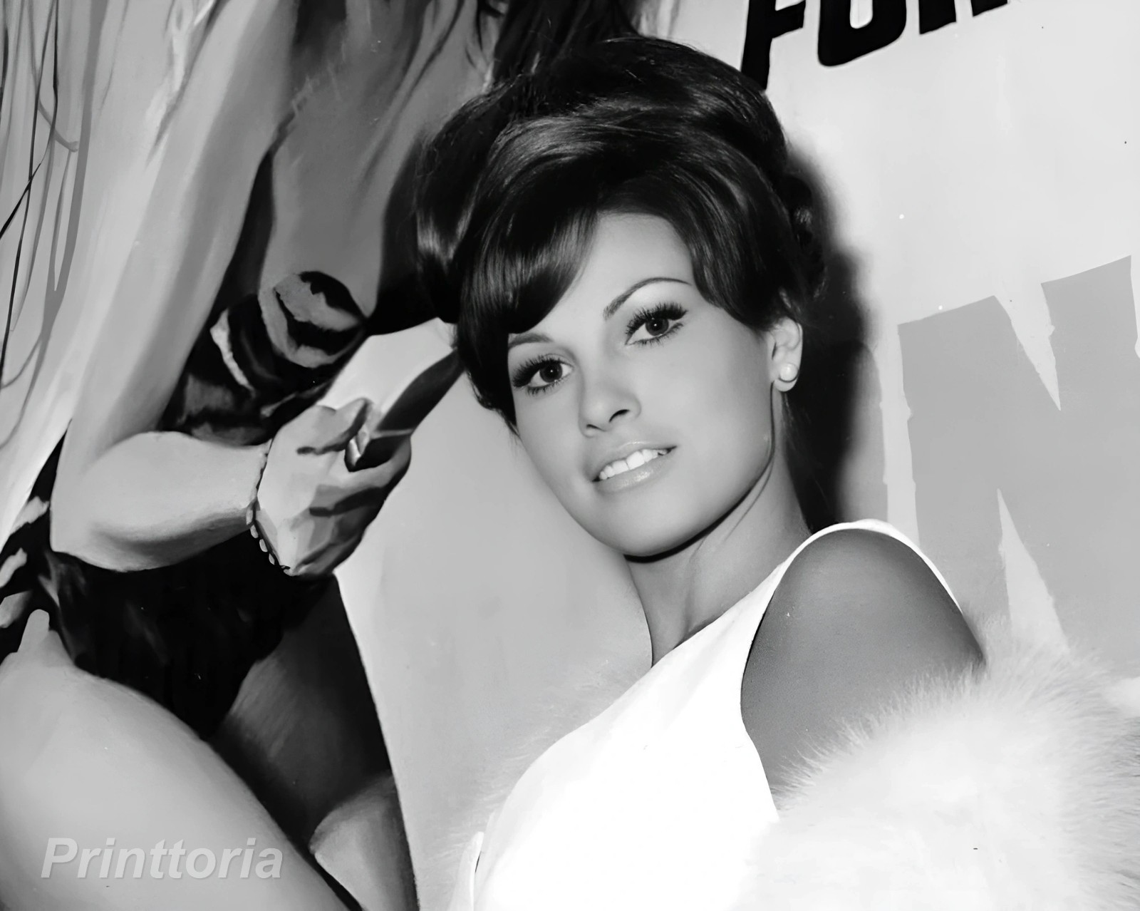 RAQUEL WELCH 8x10 Collector Photograph - Classic Cinema Actress Publicity Image