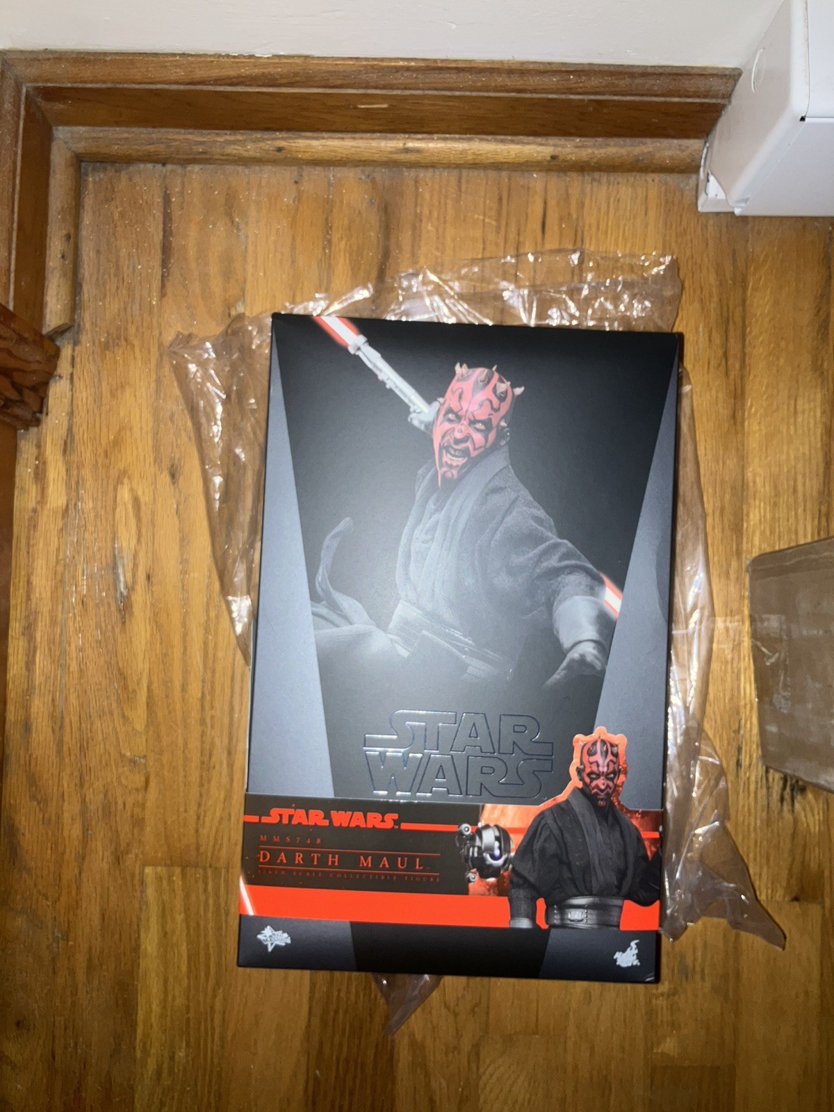 Hot Toys Star Wars Darth Maul 1/6 Scale Collectible Figure MMS748