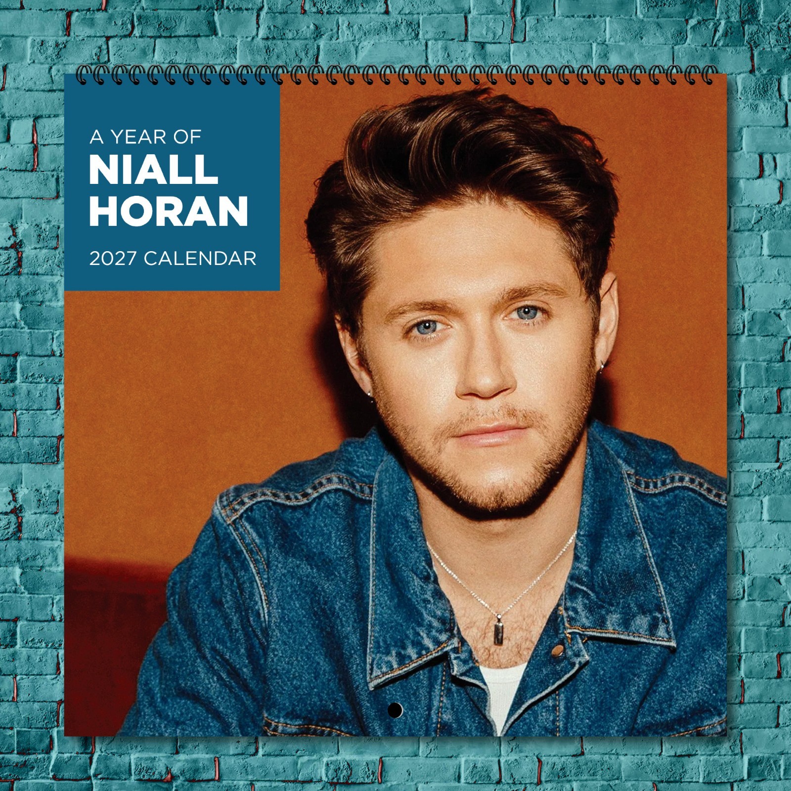 Niall Horan 2027 Wall Calendar 12 Month Celebrity Photo Fan Collectible