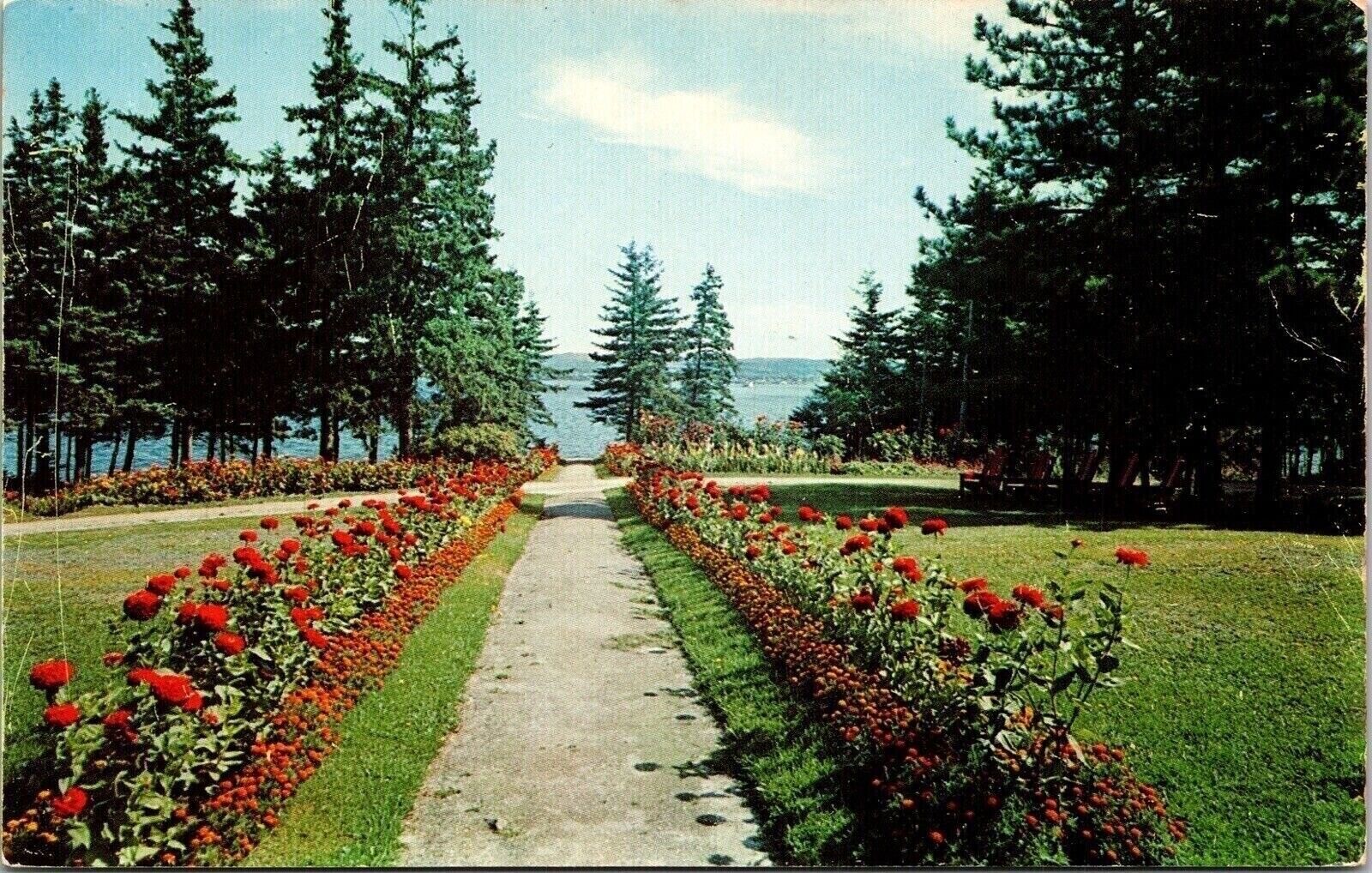 Walk Garthgannon Lodge Camden Hills Penobscot Bay Owls Head Maine Me Postcard