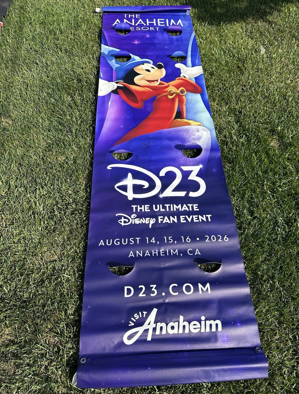 Disney D23 Expo 2026 Mickey Mouse Street Banner