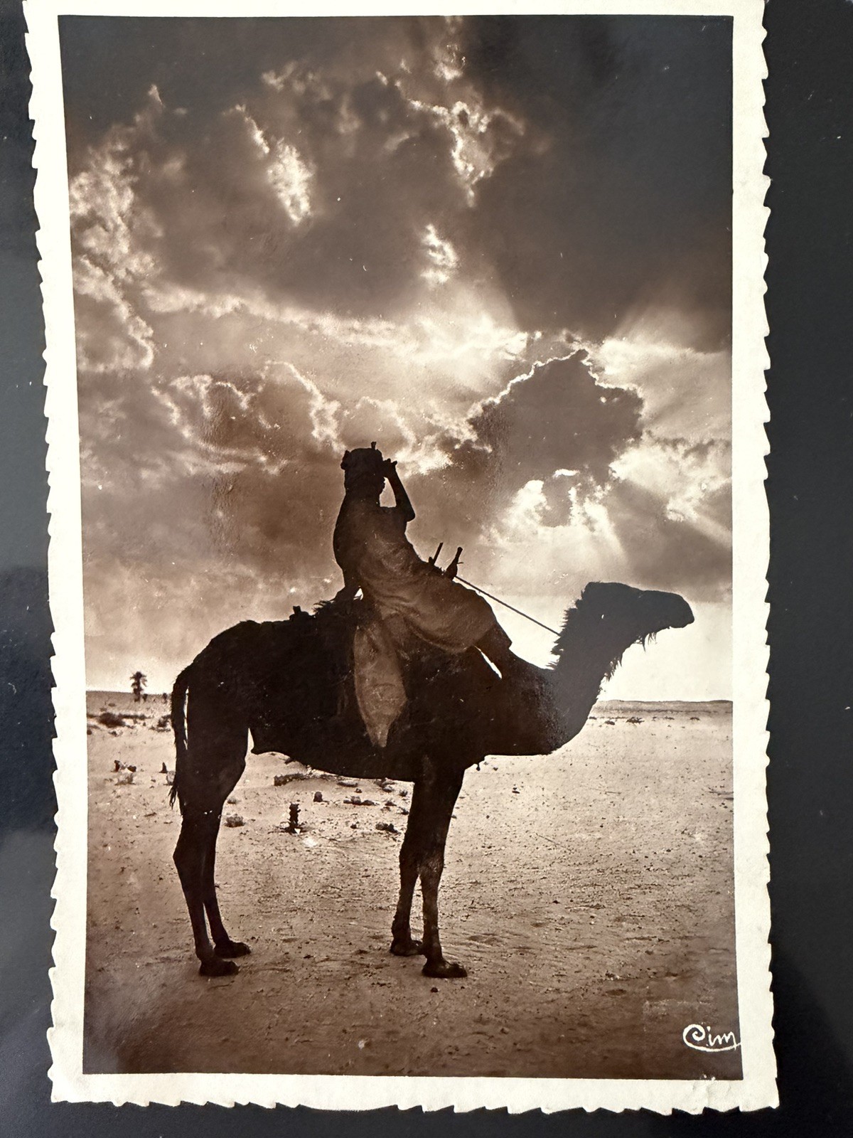 Vintage RPPC Biskra Algeria Camel Rider Twilight Sahara CIM Combier France