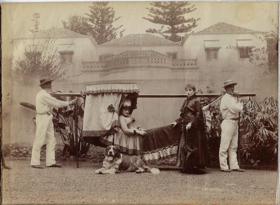 1880s Souvenir Album Original Photos Madeira Panorama Funchal Bay Grand Tour