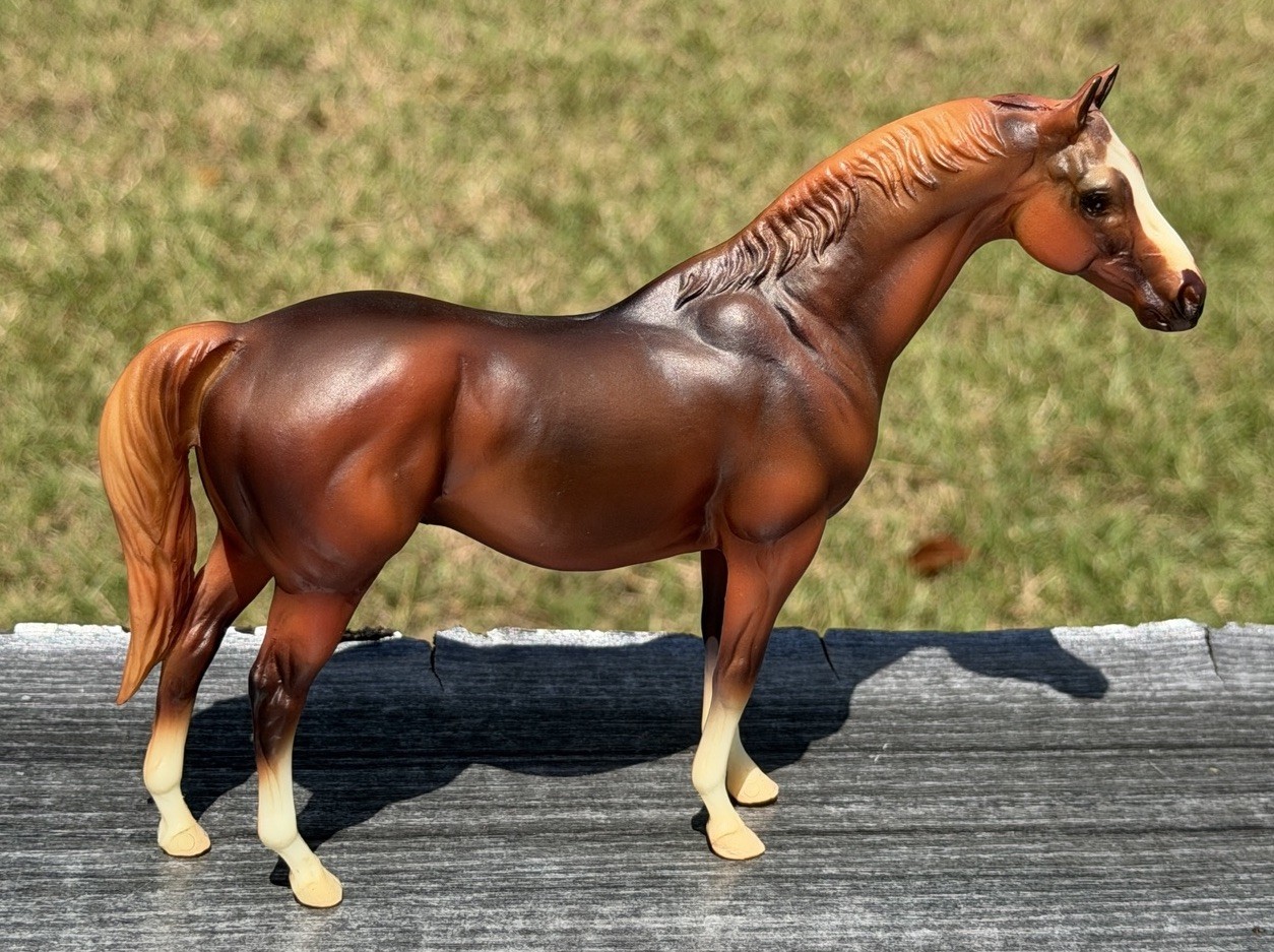 Breyer QVC Terrang Classic Racehorse 3-Piece Set Special Run Breyer QVC Terrang Classic Racehorse 3-Piece Set Special Run